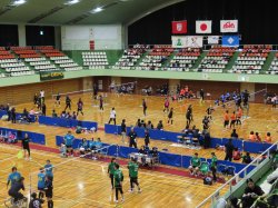JVA第28回全国ソフトバレーボールフェスティバル　レディース富山